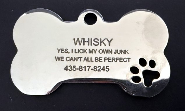 Whisky's real tag: polished stainless bone with a paw cut-out, engraved WHISKY, Yes, I lick my own junk, We can't all be perfect, and a phone number